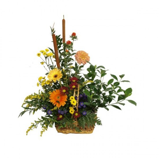 Jardin d'automne Jardin d'automne